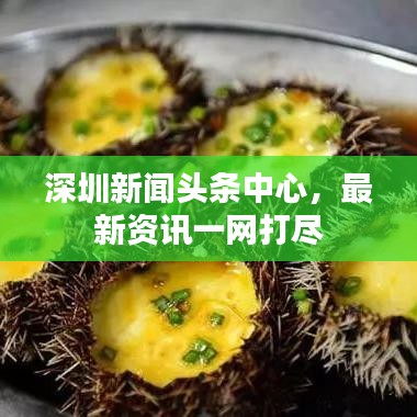 深圳新闻头条中心，最新资讯一网打尽