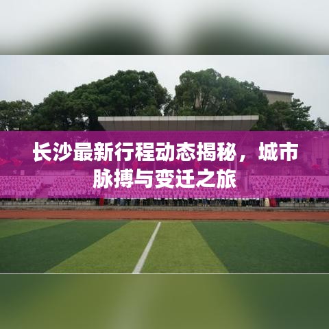 长沙最新行程动态揭秘，城市脉搏与变迁之旅
