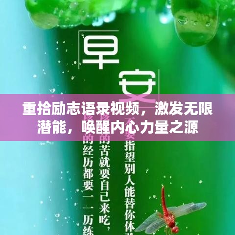 重拾励志语录视频，激发无限潜能，唤醒内心力量之源
