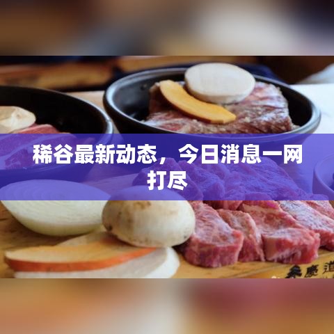 稀谷最新动态，今日消息一网打尽