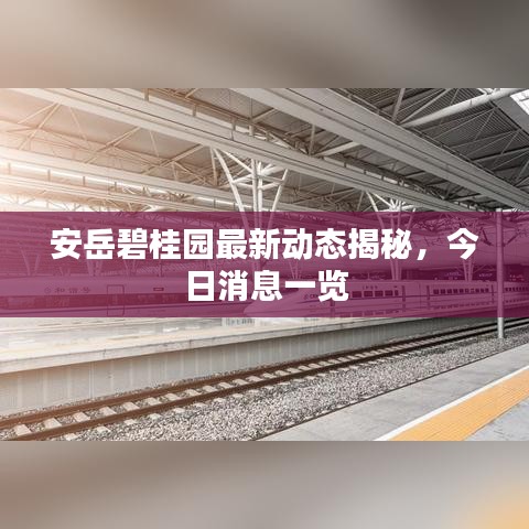 安岳碧桂园最新动态揭秘，今日消息一览