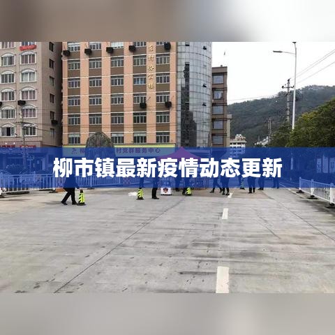 柳市镇最新疫情动态更新