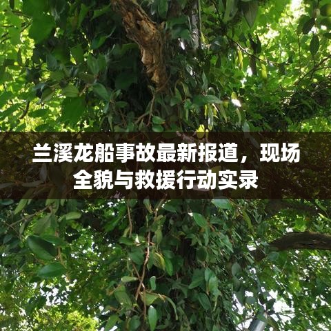 兰溪龙船事故最新报道，现场全貌与救援行动实录