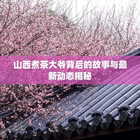 山西煮茶大爷背后的故事与最新动态揭秘