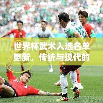 世界杯武术入选名单更新，传统与现代的武术融合风采展示