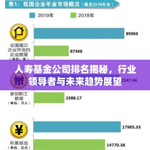 人寿基金公司排名揭秘，行业领导者与未来趋势展望