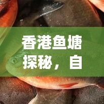 2025年6月8日 第13页