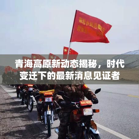 青海高原新动态揭秘，时代变迁下的最新消息见证者