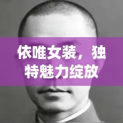 依唯女装，独特魅力绽放，时尚之选，百度搜索必探秘！