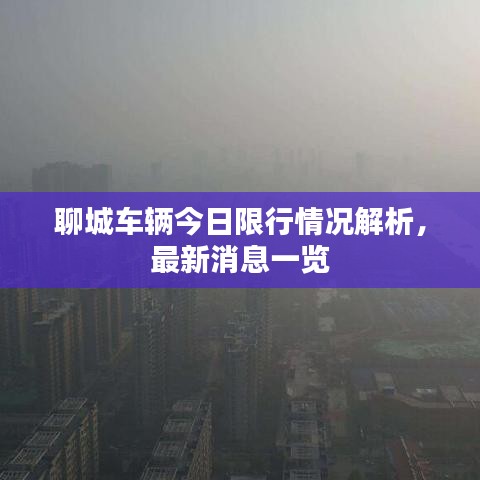 聊城车辆今日限行情况解析，最新消息一览