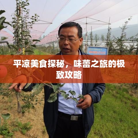 平凉美食探秘，味蕾之旅的极致攻略