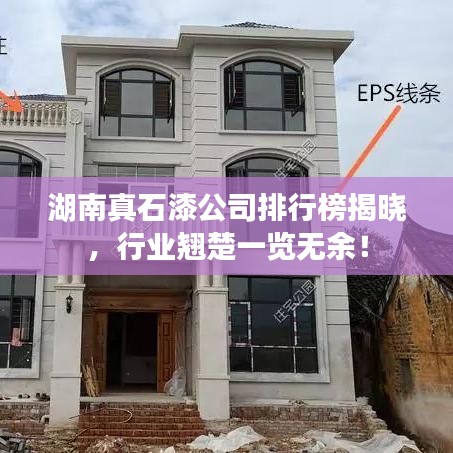湖南真石漆公司排行榜揭晓，行业翘楚一览无余！