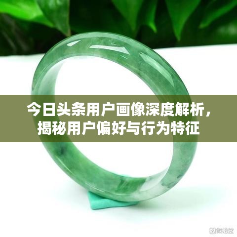 今日头条用户画像深度解析，揭秘用户偏好与行为特征