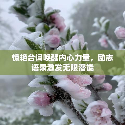 惊艳台词唤醒内心力量，励志语录激发无限潜能