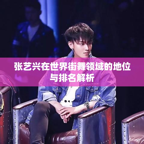 张艺兴在世界街舞领域的地位与排名解析