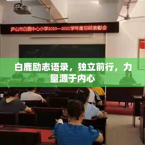 白鹿励志语录，独立前行，力量源于内心
