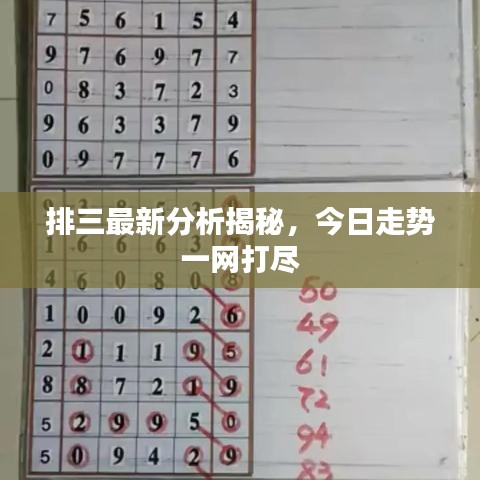 排三最新分析揭秘，今日走势一网打尽
