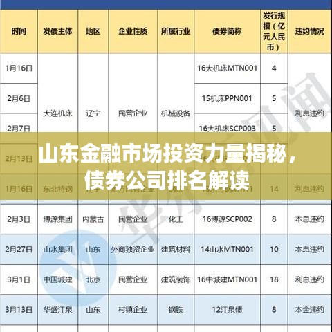 山东金融市场投资力量揭秘，债券公司排名解读