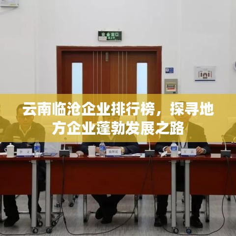 云南临沧企业排行榜，探寻地方企业蓬勃发展之路
