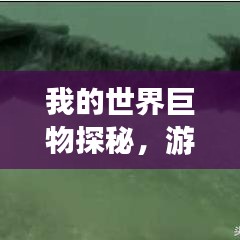 我的世界巨物探秘，游戏中震撼人心的巨大结构与壮观景象排名