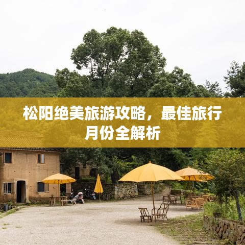 松阳绝美旅游攻略，最佳旅行月份全解析