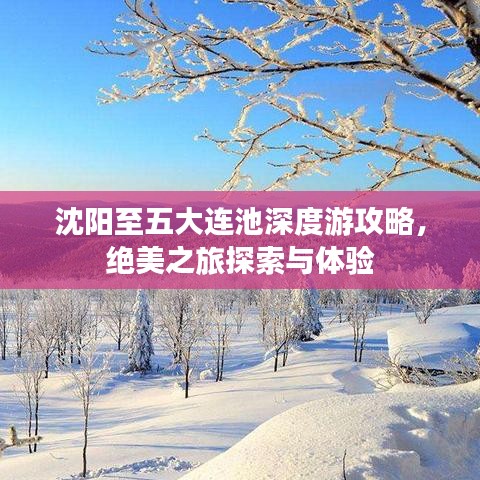 沈阳至五大连池深度游攻略，绝美之旅探索与体验