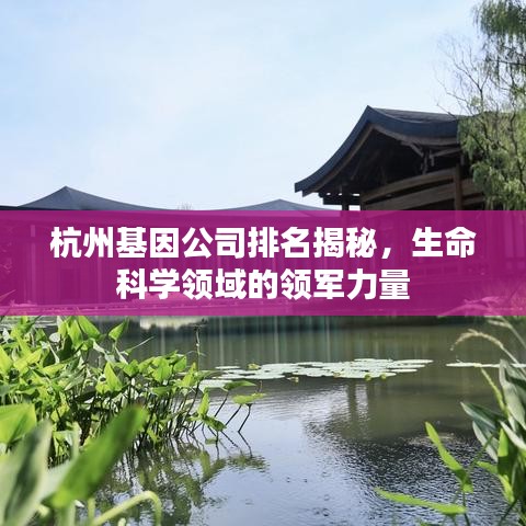 杭州基因公司排名揭秘，生命科学领域的领军力量