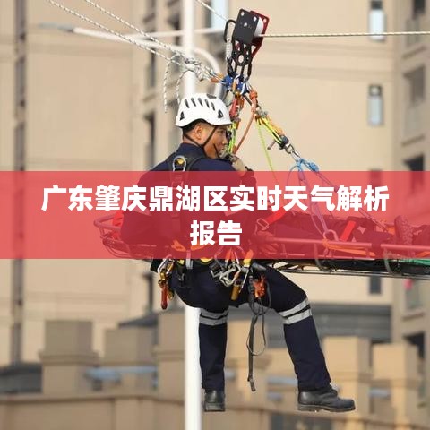 广东肇庆鼎湖区实时天气解析报告