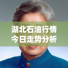 湖北石油行情今日走势分析