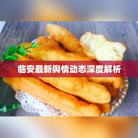 临安最新舆情动态深度解析