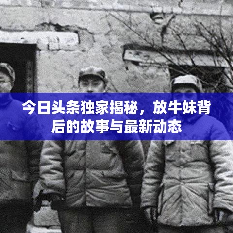 今日头条独家揭秘，放牛妹背后的故事与最新动态