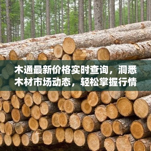 木通最新价格实时查询，洞悉木材市场动态，轻松掌握行情资讯！