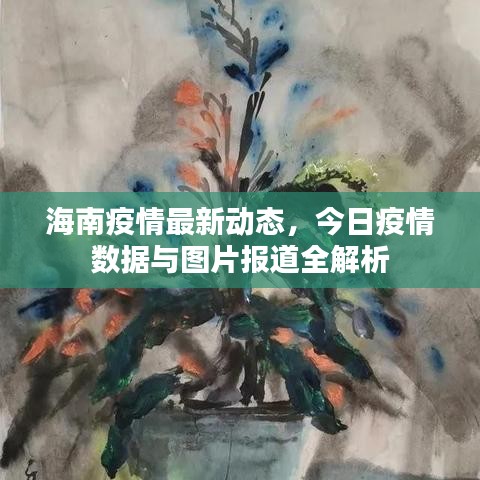 海南疫情最新动态，今日疫情数据与图片报道全解析