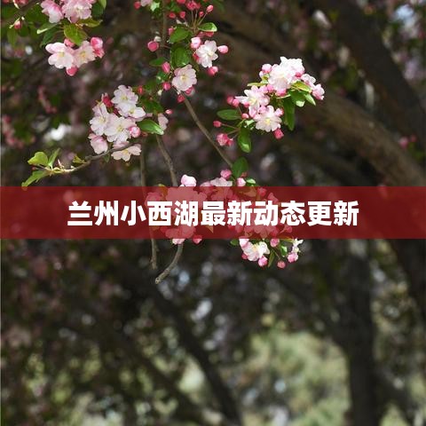 兰州小西湖最新动态更新