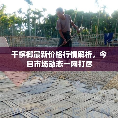 干槟榔最新价格行情解析，今日市场动态一网打尽