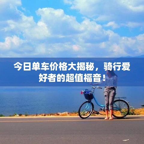 今日单车价格大揭秘，骑行爱好者的超值福音！