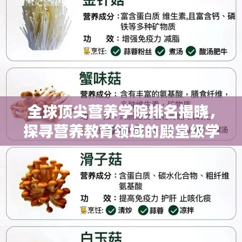 全球顶尖营养学院排名揭晓，探寻营养教育领域的殿堂级学府！