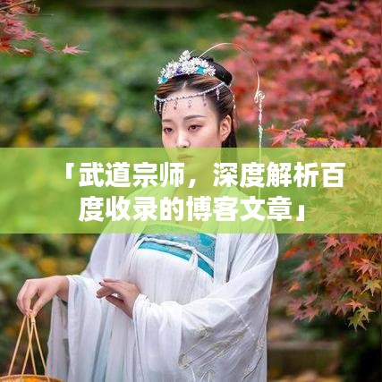 「武道宗师，深度解析百度收录的博客文章」