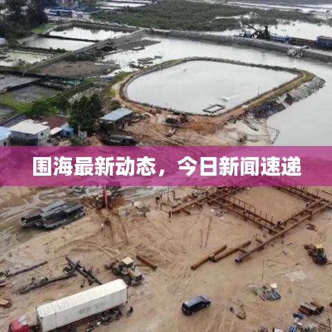 围海最新动态，今日新闻速递