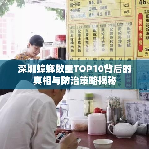 深圳蟑螂数量TOP10背后的真相与防治策略揭秘