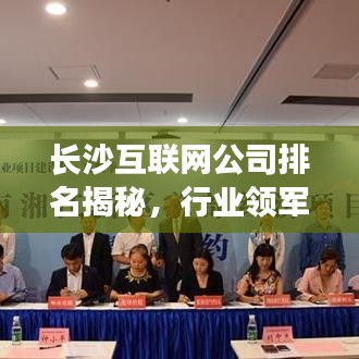 长沙互联网公司排名揭秘，行业领军者的成功奥秘探索