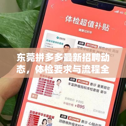 东莞拼多多最新招聘动态，体检要求与流程全解析