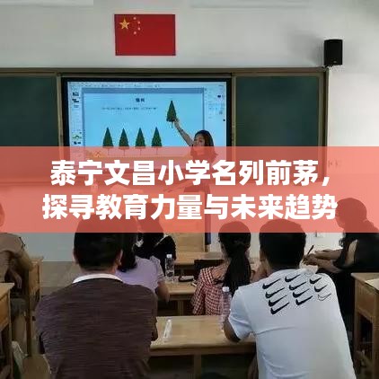 泰宁文昌小学名列前茅，探寻教育力量与未来趋势