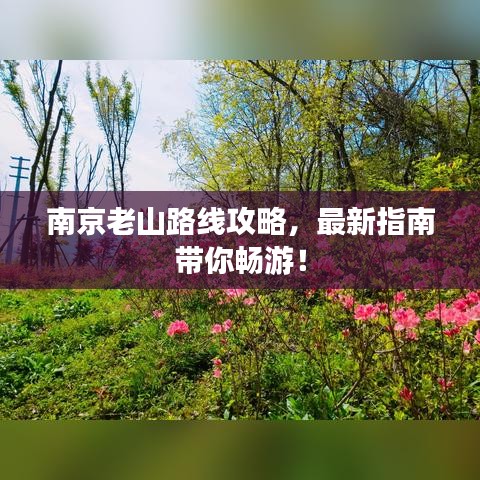 南京老山路线攻略，最新指南带你畅游！