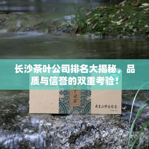 长沙茶叶公司排名大揭秘，品质与信誉的双重考验！