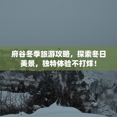 府谷冬季旅游攻略，探索冬日美景，独特体验不打烊！