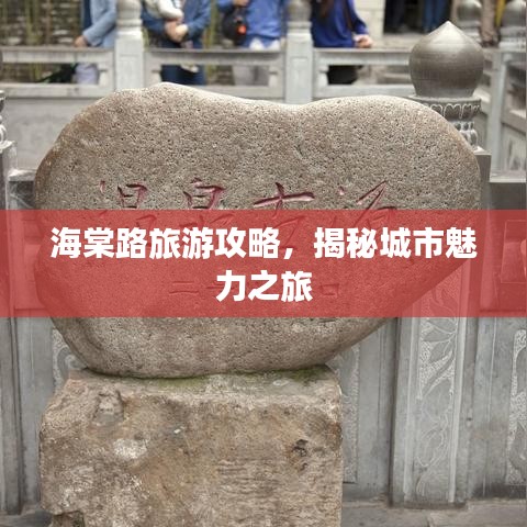 海棠路旅游攻略，揭秘城市魅力之旅