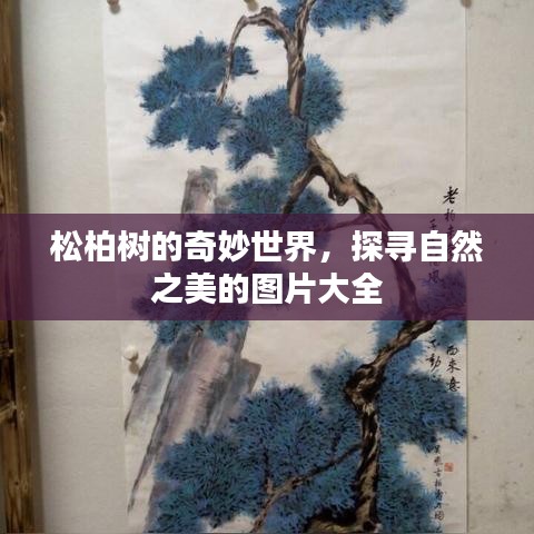 松柏树的奇妙世界，探寻自然之美的图片大全