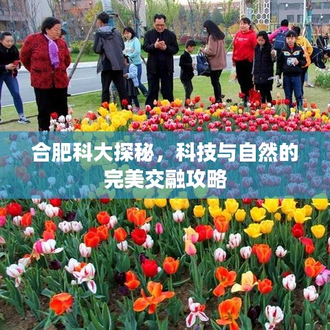 合肥科大探秘，科技与自然的完美交融攻略