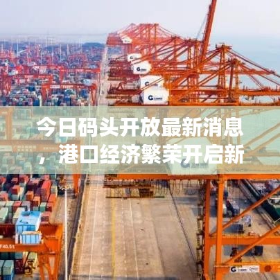 今日码头开放最新消息，港口经济繁荣开启新篇章